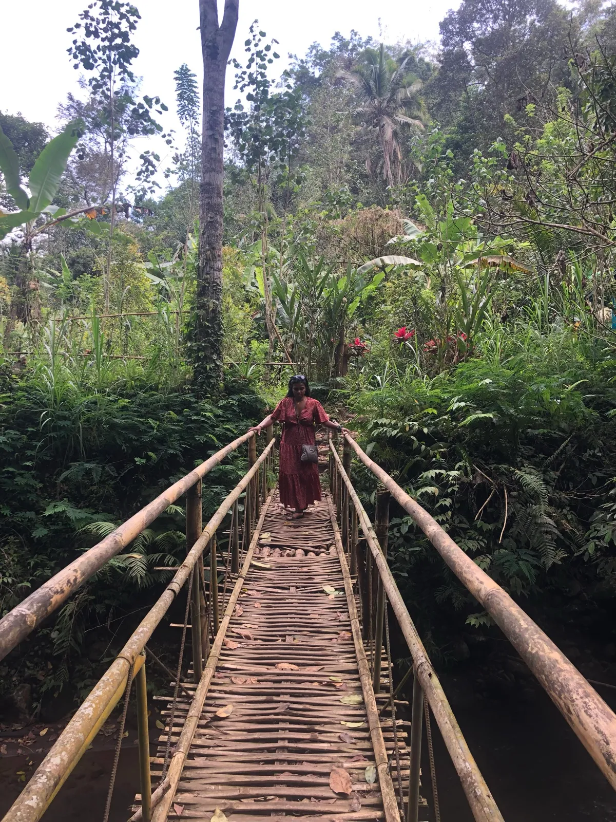 Taini Adhikary crossing a bamboo footbridge in a forest